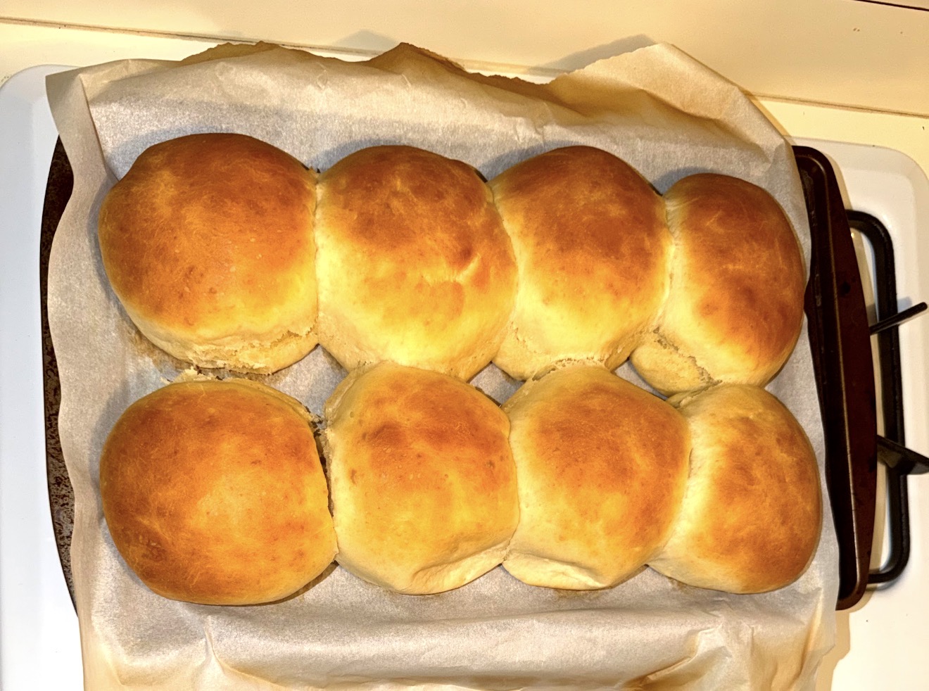 The Daily Buns 