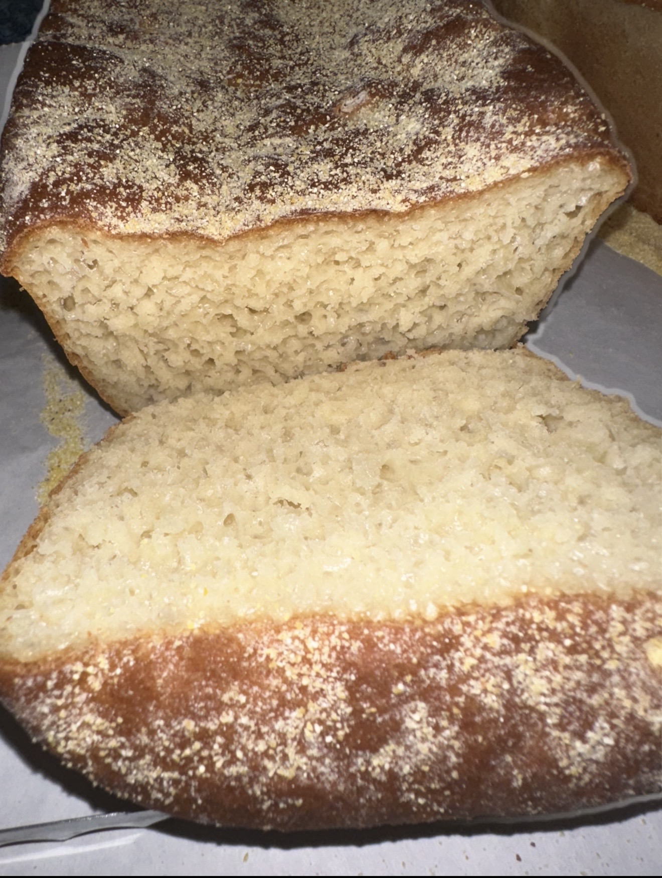 Toast Best Friend